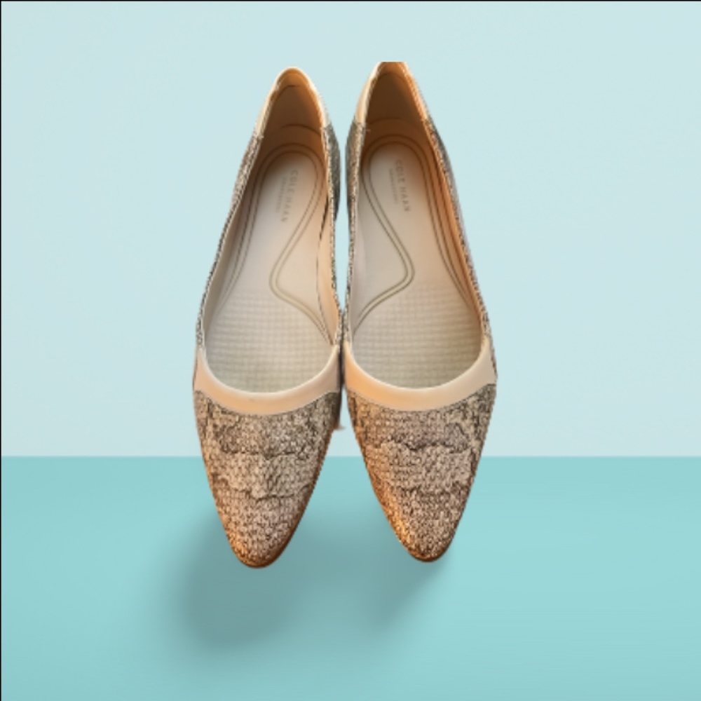 Cole Haan Grand Ambition Skimmer